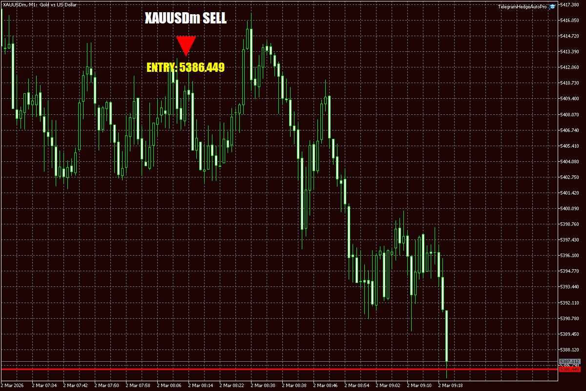 Daily Signals Vorlage 14 Daily Signals Vorlage