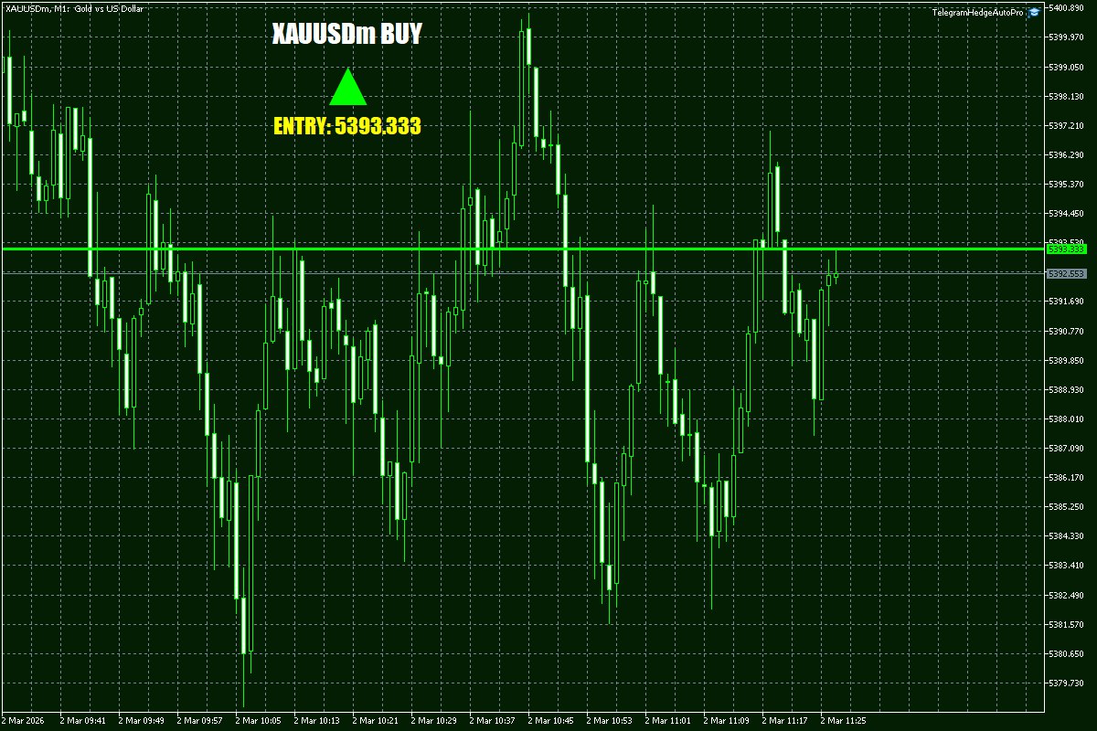 Daily Signals Vorlage 18 Daily Signals Vorlage