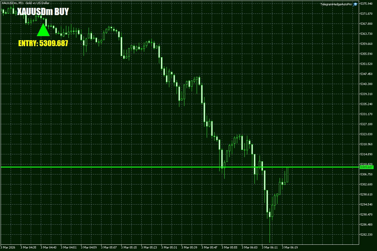 Daily Signals Vorlage 3 Daily Signals Vorlage