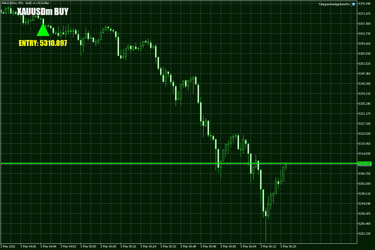 Daily Signals Vorlage 1 Daily Signals Vorlage