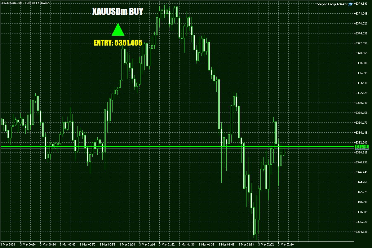 Daily Signals Vorlage 9 Daily Signals Vorlage