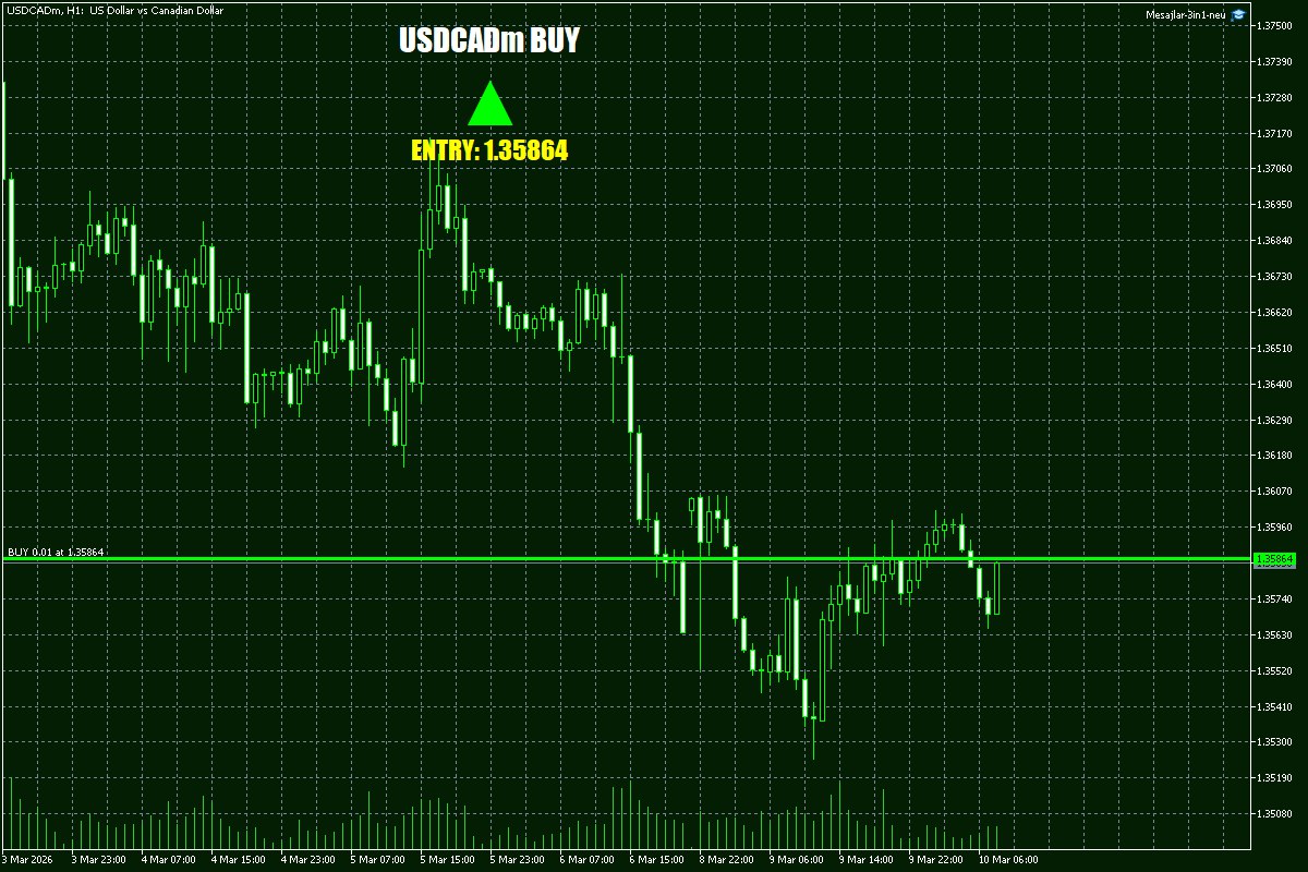 Daily Signals Vorlage 37 Daily Signals Vorlage