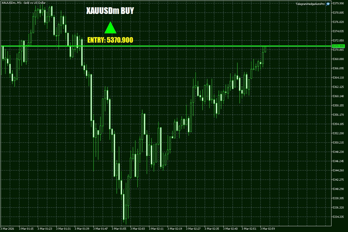 Daily Signals Vorlage 8 Daily Signals Vorlage