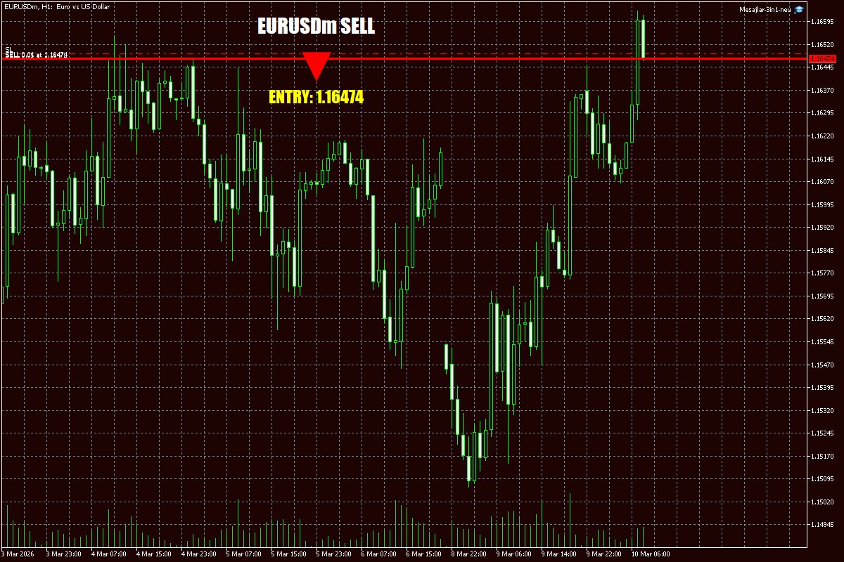 Daily Signals Vorlage 33 Daily Signals Vorlage