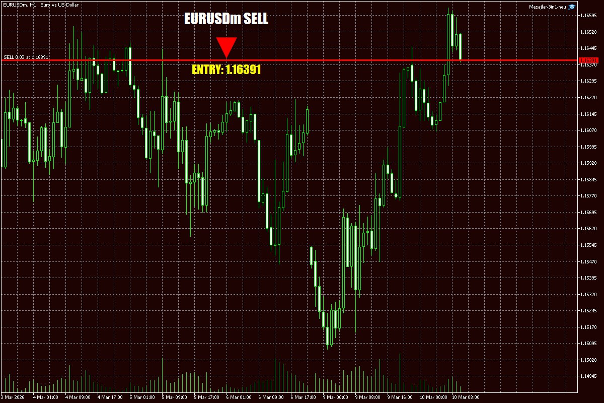 Daily Signals Vorlage 31 Daily Signals Vorlage