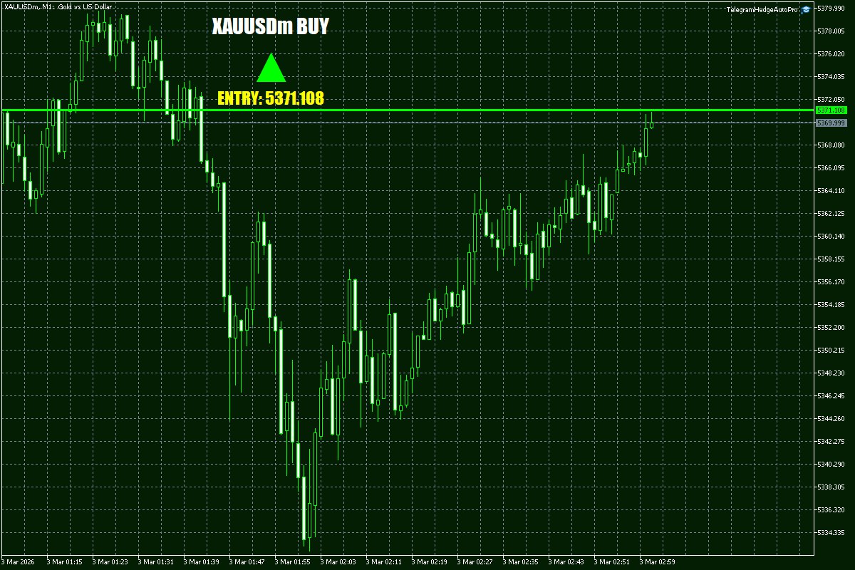 Daily Signals Vorlage 7 Daily Signals Vorlage