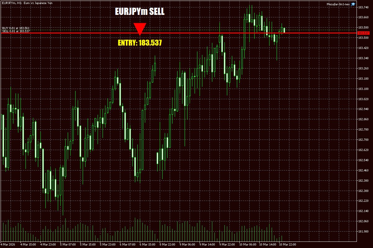 Daily Signals Vorlage 27 Daily Signals Vorlage