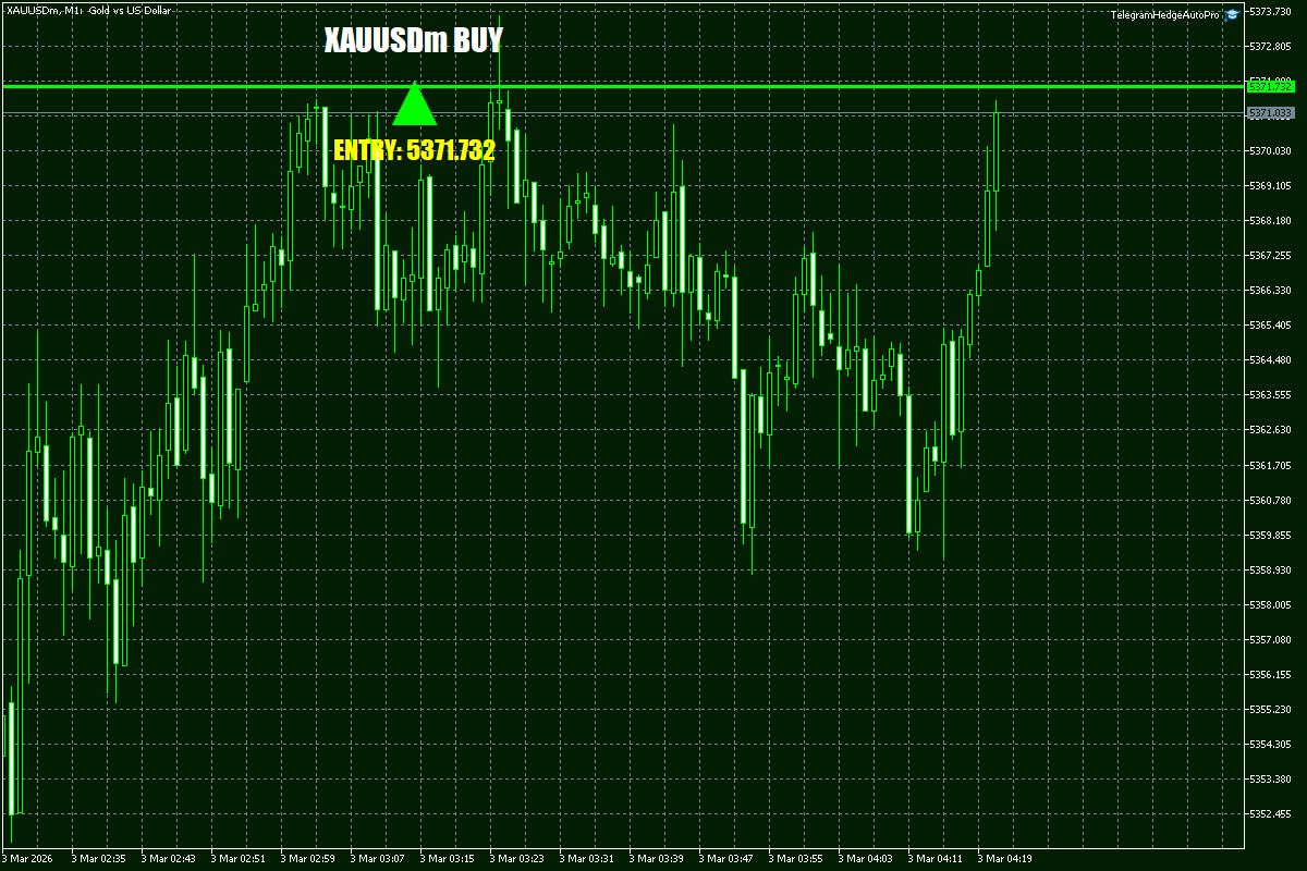 Daily Signals Vorlage 4 Daily Signals Vorlage